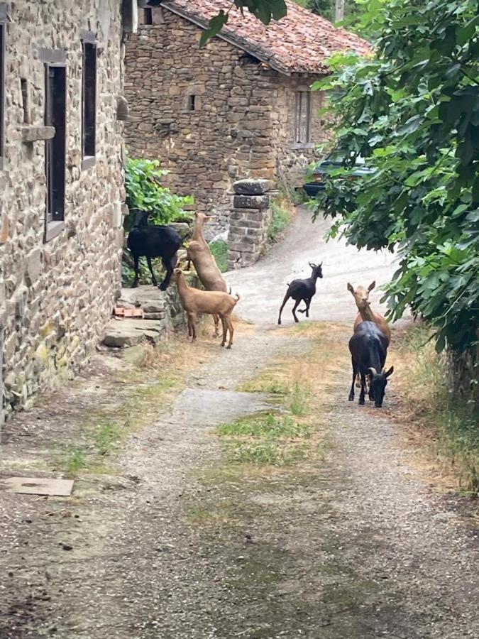 Apartamento Picos De Europa Cabezón de Liébana Buitenkant foto